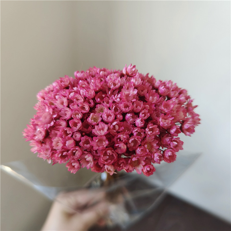 50 stems - pink purple