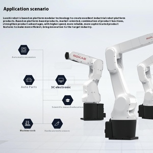 ROKAEコラボレーティブインダストリアルロボット6軸アームパレット化ロボット複合ロボット - Product Image 4