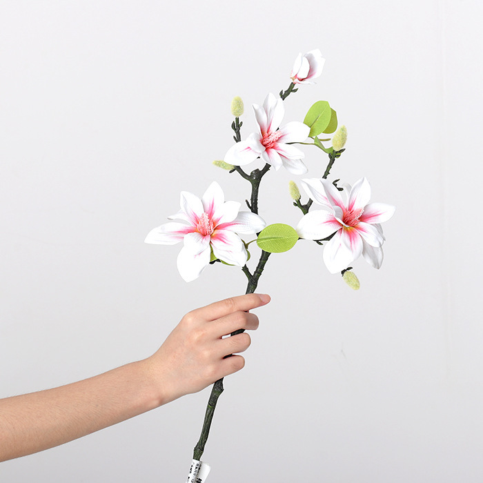 West lake magnolia pink white 60cm