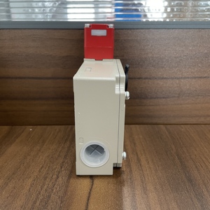 D4BL-2CRA elektromanyetik kilitleme emniyet kapı anahtarı mekanik kilitleme 1NC/1NO + 24 24 VDC IP67 koruma 6A gösterge ışığı - Product Image 6