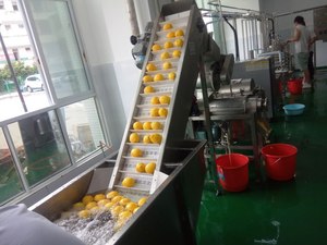 Domates elma armut çilek yabanmersini havuç suyu tesisi için 200 kg/saat küçük meyve sebze suyu işleme hattı - Product Image 2