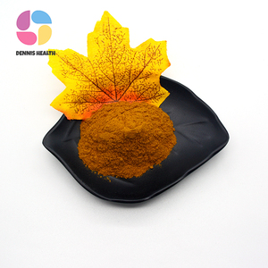 Hot Sell <strong>Uva</strong> <strong>Ursi</strong> Leaf Extract Powder Best Price - Product Image 3