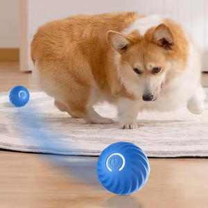 Nueva pelota de entrenamiento de hierba gatera, pequeño juguete interactivo automóvil para mascotas para gatos y perros, puente automático, juguete para gatos rodantes - Product Image 5