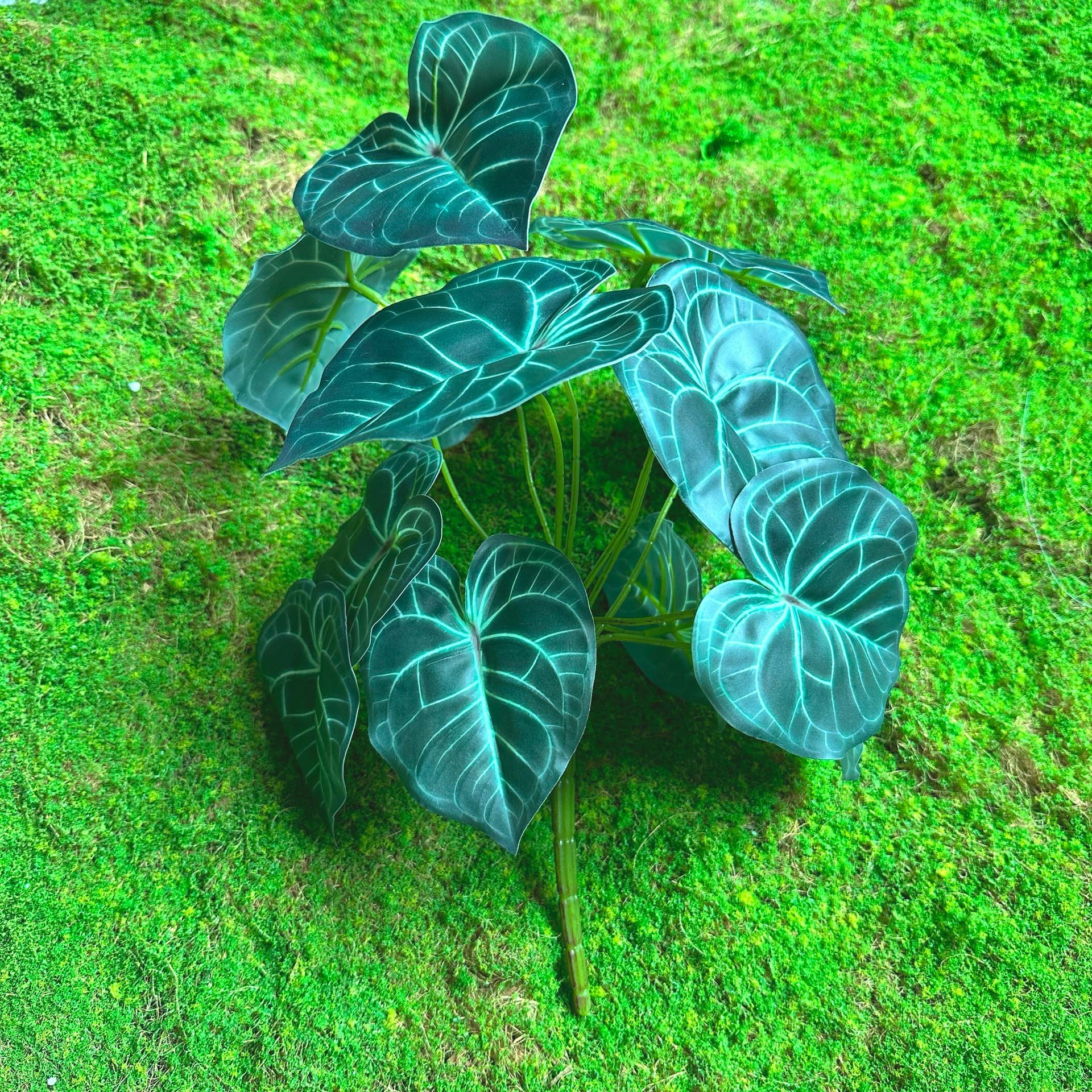 Green 8#