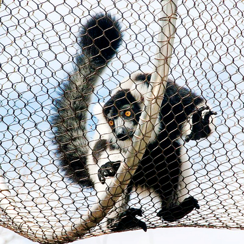 Zoo monkey hill enclosure stainless steel rope mesh