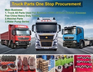 Pour Sinotruk HOWO HOHAN MAX N7G camion pièces de rechange cabine Suspension arrière amortisseur WG1671440312 - Product Image 6