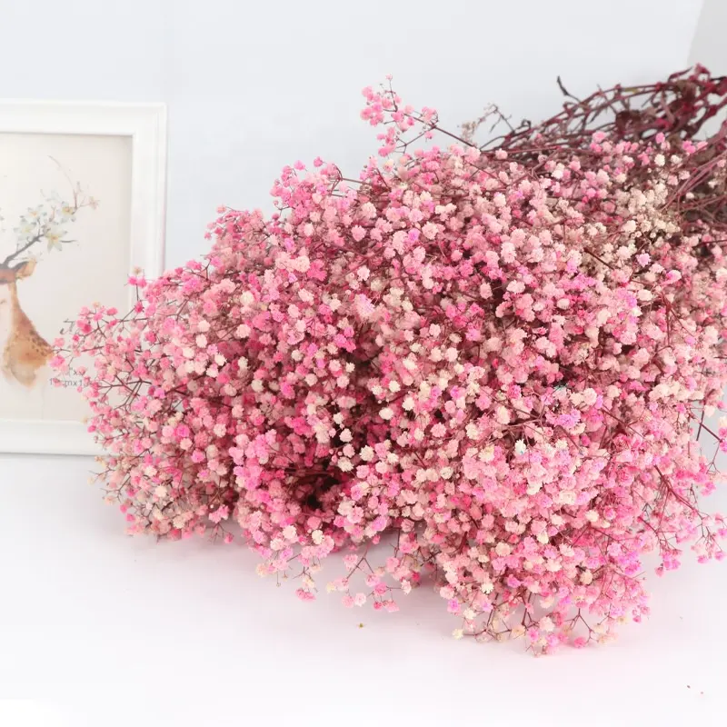 Fleur artificielle éternelle colorée, souffle de bébé conservé, bouquet de gypsophile séchée pour la décoration de la saint-valentin, du mariage et de la fête des mères