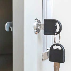 Hot Selling 16Mm Keyd Alike Black Color Lift Sleutelschakelaar <span class=keywords><strong>Lock</strong></span> High Security Zink Legering Metalen Mail Cam <span class=keywords><strong>Lock</strong></span> <span class=keywords><strong>Lock</strong></span> Cilinders - Product Image 2