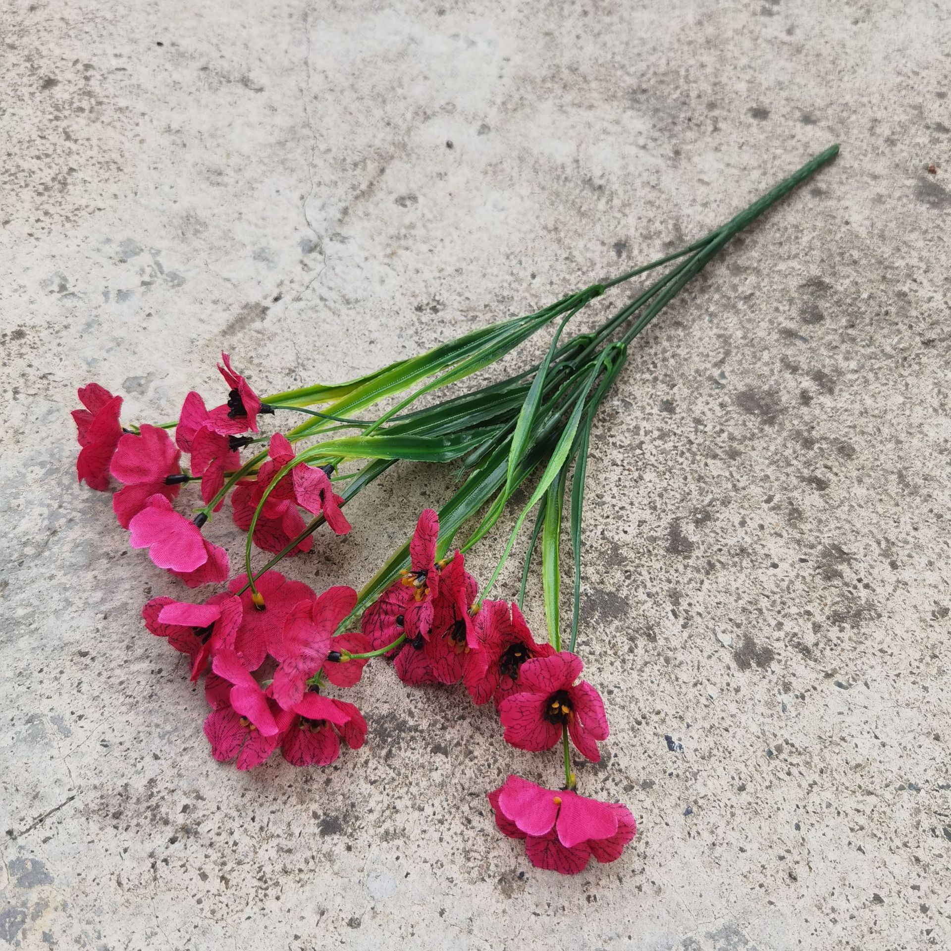 Rosa rossa