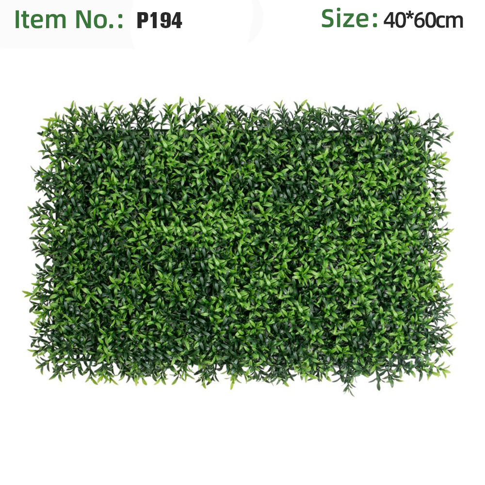 Panneau mural en herbe Lance Leaf