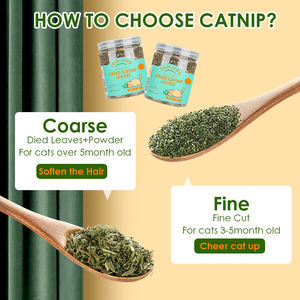 Hoja de hierba gatera seca Natural de calidad superior de etiqueta privada para gatos Hierbas de hierba gatera secas al aire Safe 100% Pure Catnip