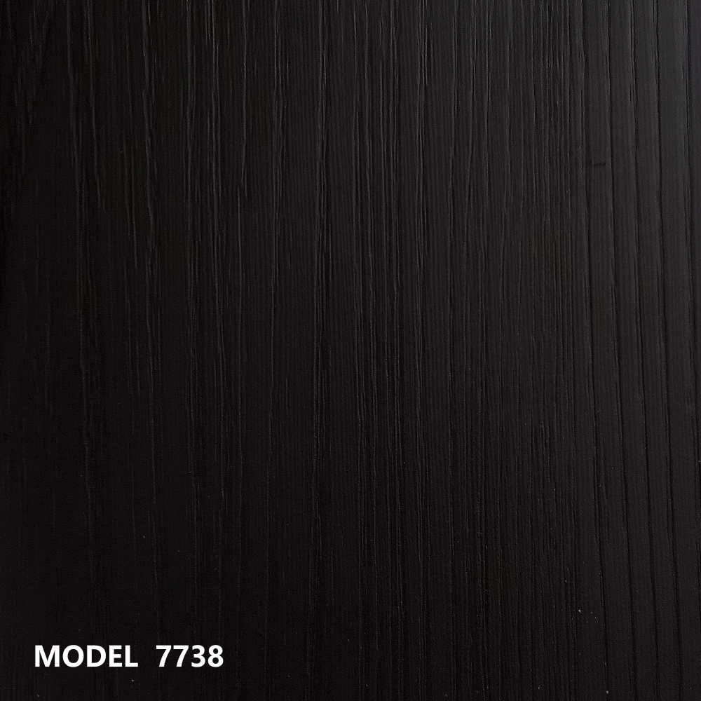 MODEL 7738