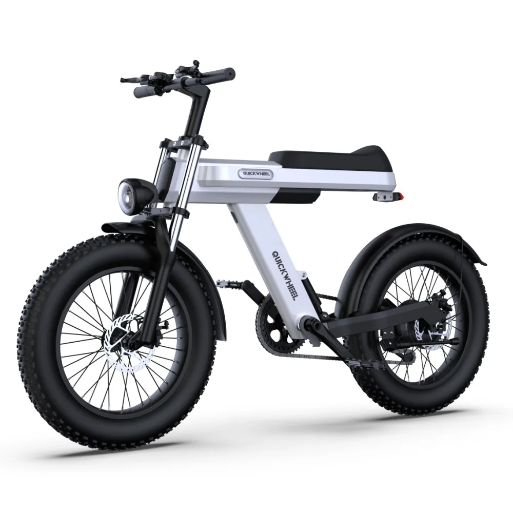 Quickwheel C9 Vente Chaude Vélo Électrique 15000W 1000W 48V 15Ah 20 "Vélo Électrique Pas Cher Cycle 55Km Rapide Vélo Électrique Dirt Bike