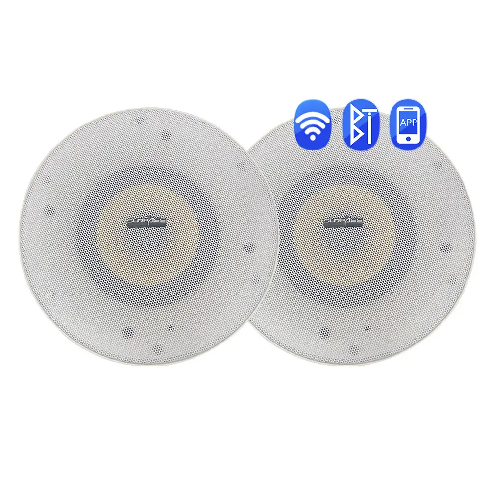 High Fidelity Wifi Plafond Luidspreker Ondersteuning Smart App Controle Stereo Sound Indoor Pa Luidspreker