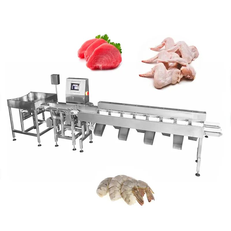 Sistema Transportador de cinta de clasificación de peso de alta velocidad Máquina clasificadora automática de pollo/huevo/camarón/Pescado