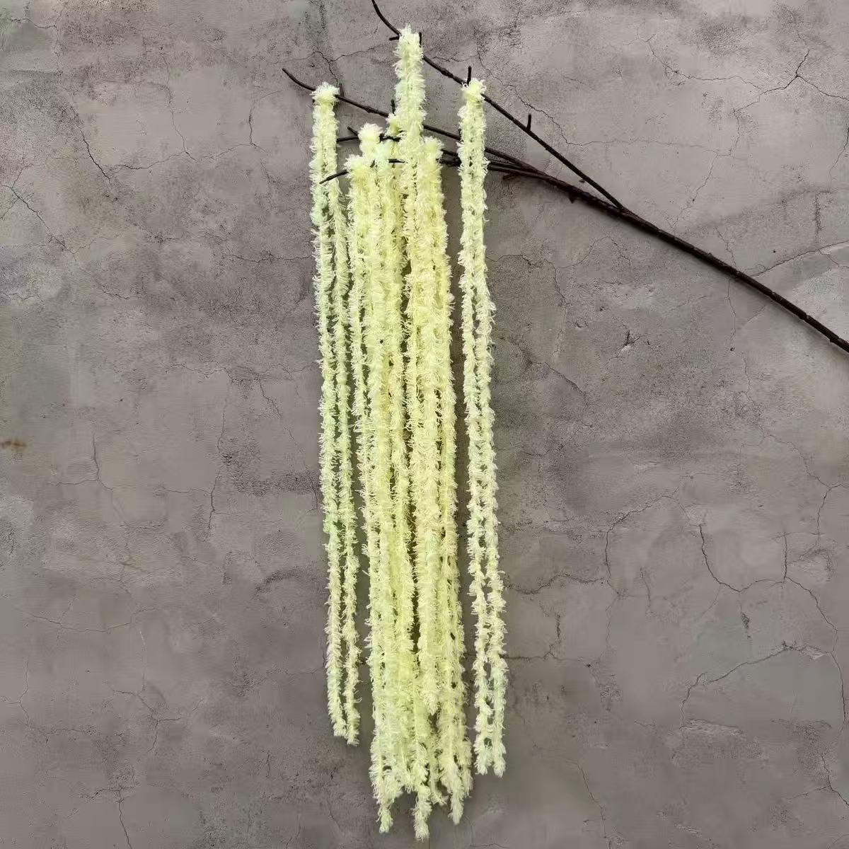 Champagne