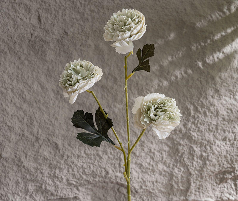 สีเขียว