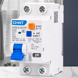 Chint Rẻ Nhất MCB NXB-63 1P <span class=keywords><strong>2P</strong></span> 3P 4P 6A 10A 20A 32A 40A 63A B C D Điện Từ Chint NXB-63 Miniature Circuit Breaker - Product Image 6