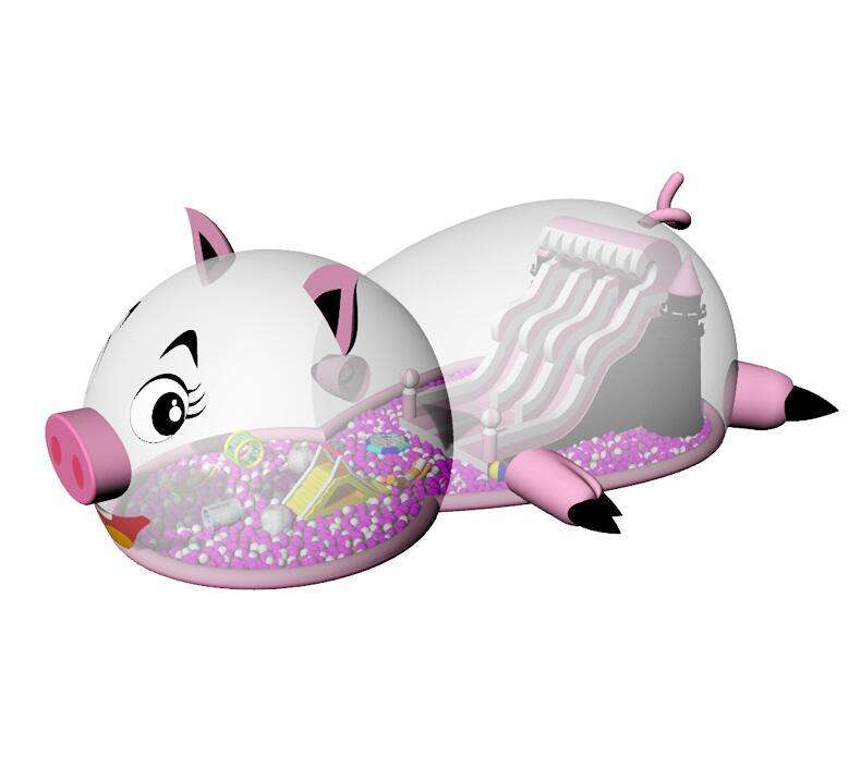 jumping castle bouncer