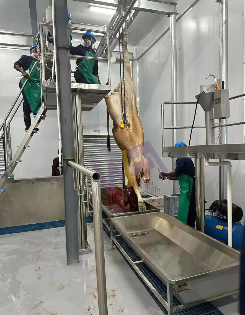 人道的な牛肉の食肉処理場牛の食肉処理装置のための10牛の時間ハラール肉加工機