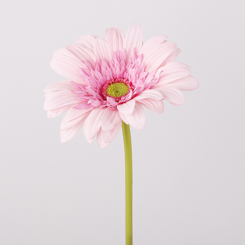 สีม่วงอ่อน