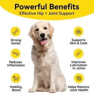 OEM Pet köpek Glucosamine çiğnemek köpekler kalça ve eklem takviyesi için eklem ağrısı giderici Glucosamine Chondroitin <span class=keywords><strong>Msm</strong></span>