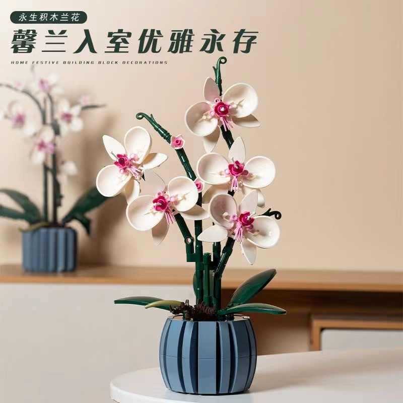 Orquídea 608 partículas - en caja