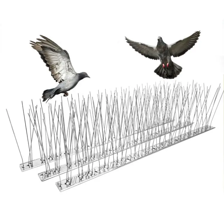 Controllo dei parassiti deterrente per uccelli in acciaio inossidabile punte per uccelli in policarbonato trasparente in plastica Anti-uccello volante