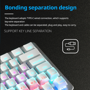 AULA F3060 RGB LED Light OEM Logo Teclado para juegos personalizado Inalámbrico 75% PC Computadora Interruptor mecánico en inglés - Product Image 4