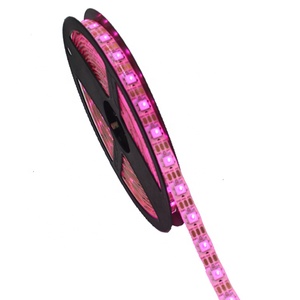 WS2811 WS2812B RGB LED şerit işık IP67 bakır vücut DMX dijital noel ekran için peyzaj için diğer şenlikli günler - Product Image 6