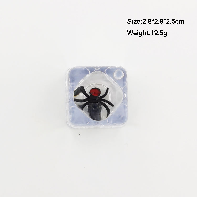Clear cube with black fly