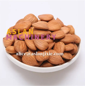 Double Channels AI Automatic Almond <strong>Shell</strong> <strong>Kernel</strong> Color <strong>Sorting</strong> Grading <strong>Machine</strong> - Product Image 6