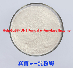 5000/100000skb nấm Alpha amylase để nướng, rượu, bia, bột ngọt, lên men, desizing, in ấn, nhuộm - Product Image 2