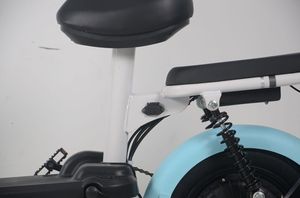 350W Leisure Electric Bike for Adults With 48V12A Motor Electric <strong>Scooter</strong> <strong>Which</strong> Is Customizable Colors