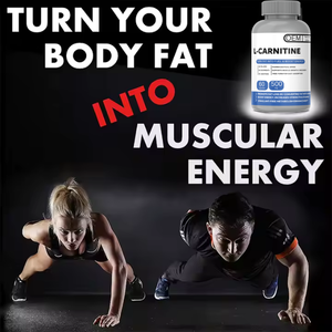 كبسولات L-كارنيتين OEM للبالغين تعزز التمثيل الغذائي للدهون القدرة على التحمل الطاقة تدعم إدارة الوزن - Product Image 3