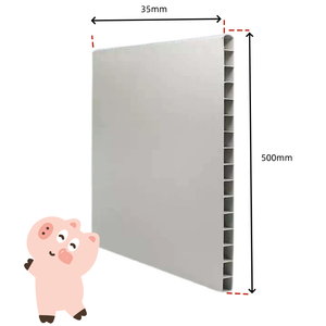 Tấm tường cách nhiệt làm bằng tấm rỗng uPVC rỗng hai mặt cho sản xuất nông nghiệp, chẳng hạn như tấm Tường chuồng lợn - Product Image 2