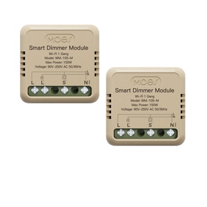 All'ingrosso fai da te 2 vie Alexa comando vocale Dimmer modulo zigbee wifi parete touch home mini Tuya smart switch - Product Image 1