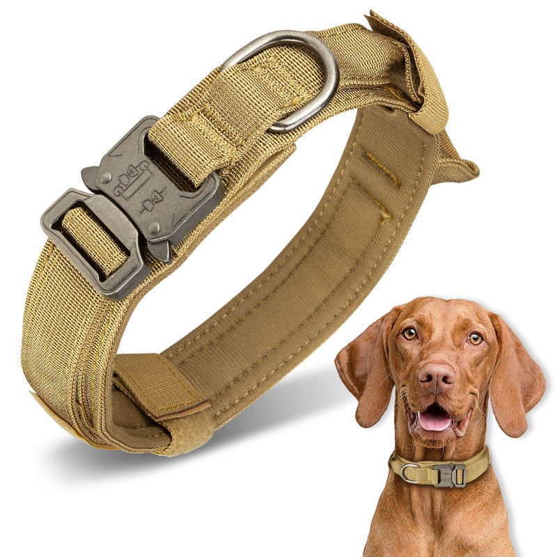 Dark Brown-Collar