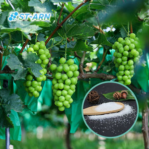 Plantwaterretentiongel Resina Polímero Estabilizador del suelo Hidrogel Biodegradable Agro para cultivo de vegetales - Product Image 2