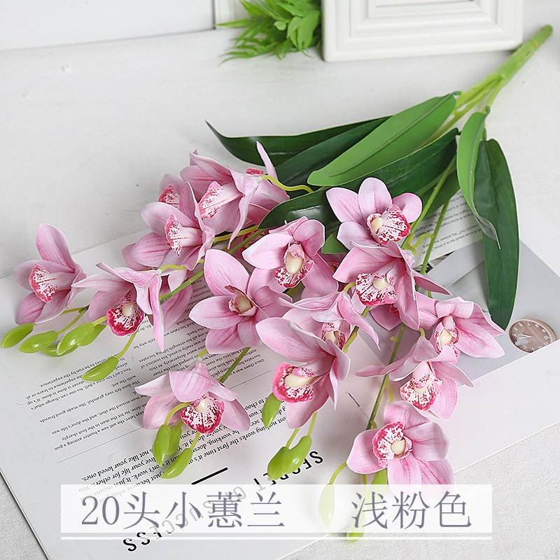 Cymbidium rose clair, 20 petites tiges.