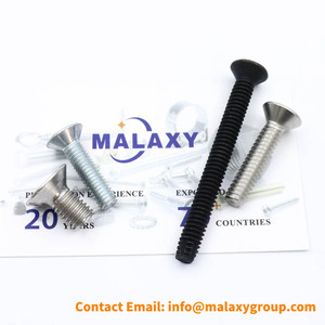 MALAXY碳钢M1.4 M2 M2.5 M3菲利普斯平头机螺钉分类十字沉头机螺钉 - Product Image 5