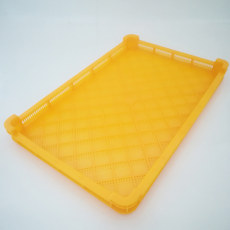 Giallo