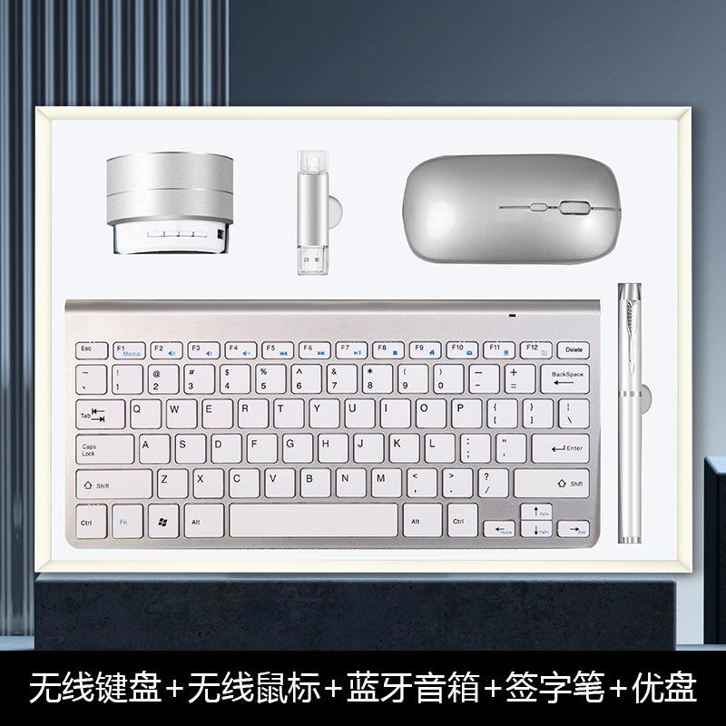 Silver-keyboard mouse stereo u disk pen 5pc set