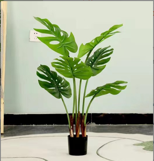 Arbre monstera 80cm