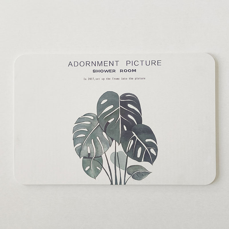 Monstera leaves