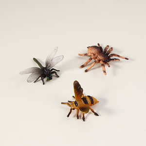 48PCS/box with Card Educational PVC Insect Exploration Kit Insect Models with Description Cards Discover the Insect <strong>World</strong> - Product Image 5