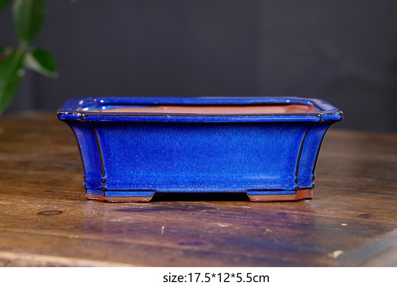 bleu1 petite taille