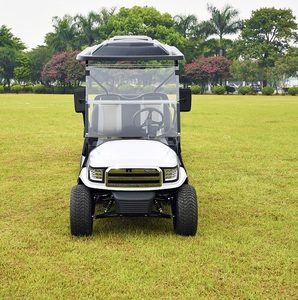 Iki kişilik büyük lastik 48 v 4000 w motor ve büyük kol dayama yeni elektrikli golf arabaları - Product Image 6