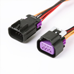 Conector de coche a prueba de agua Delphi, bomba de aceite doméstica, arnés, enchufe 2P 3P 4P 8P - Product Image 3