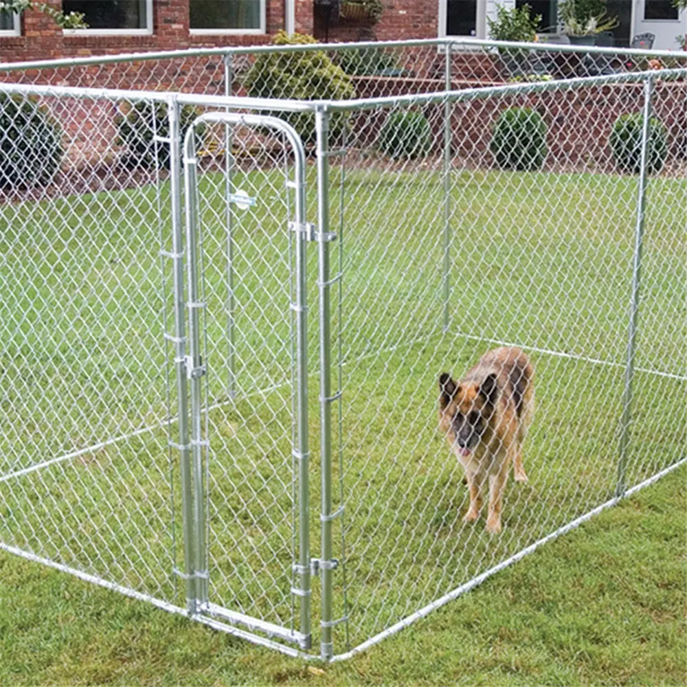 Açık büyük köpek kulübesi köpek koşmak çit
